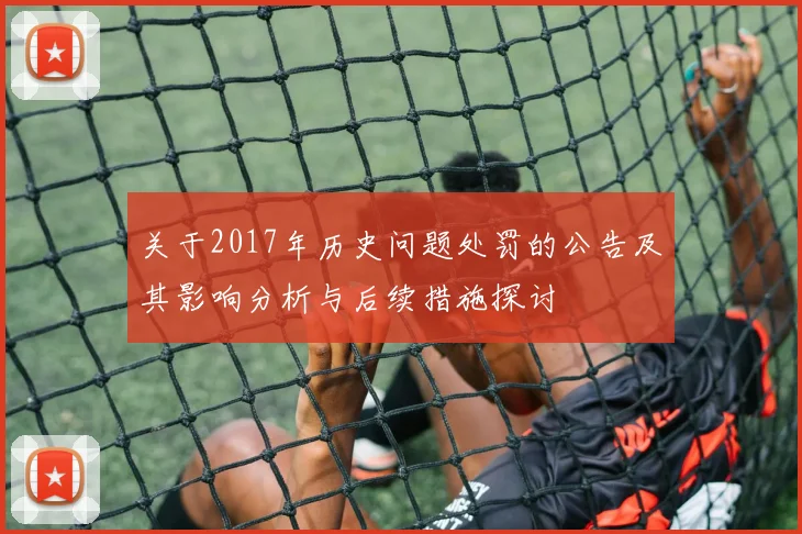 关于2017年历史问题处罚的公告及其影响分析与后续措施探讨