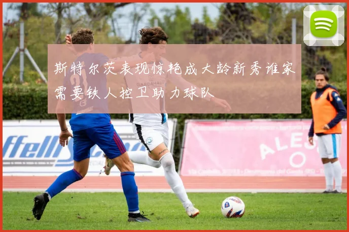 斯特尔茨表现惊艳成大龄新秀谁家需要铁人控卫助力球队