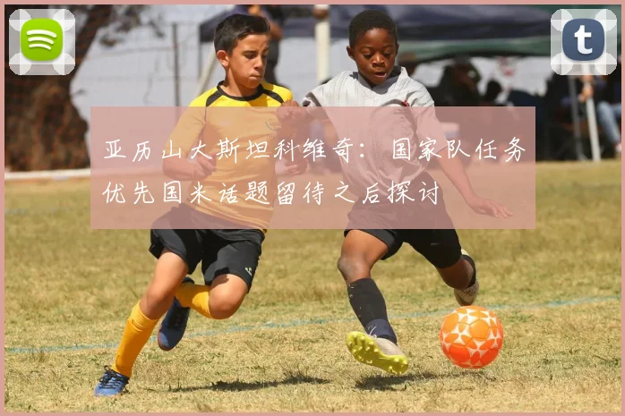 亚历山大斯坦科维奇：国家队任务优先国米话题留待之后探讨